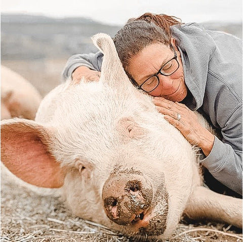 Sale Ranch saved this pig